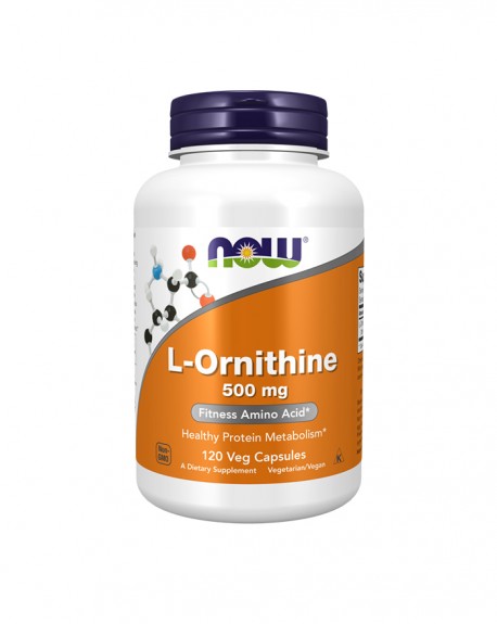 Desporto - l- ornitina (l-ornithine)