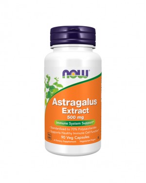 Astragalus Extract 500 mg